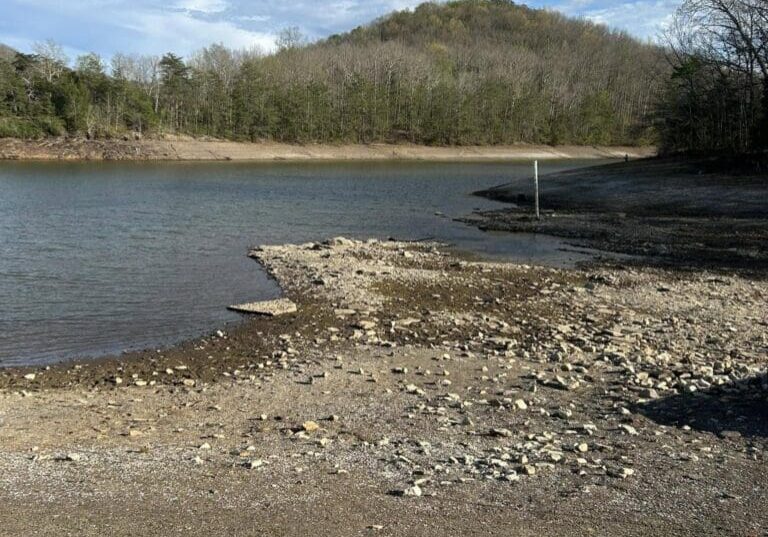 Rocky lakeshore with wooded hill and sky